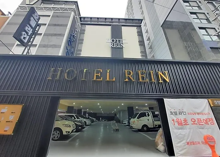 Rein Yeonsan * 釜山
